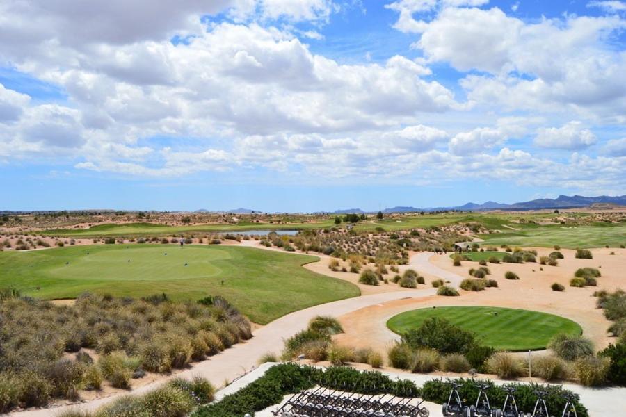 Appartement Avec Solarium Sur Golf Resort Alhama de Murcia Buitenkant foto